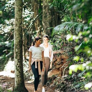 Veranstaltung: Tamborine Mountain: Guided Tour with Transfers, Lunch & Drinks, Day Trips from Gold Coast in Natural Bridge