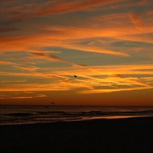 Veranstaltung: Sunset Dolphin Watching Cruise in Destin Harbor, 316 Harbor Blvd in Destin