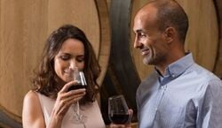 Veranstaltung: From San Francisco: Half Day Napa Valley Wine Tasting Tour, Napa Valley Wine Tours from San Francisco in San Francisco