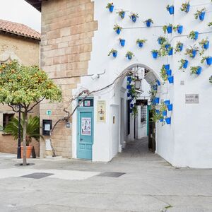 Veranstaltung: Tablao de Carmen: Espectáculo Flamenco + Cena, Tablao Cordobés Barcelona in Barcelona