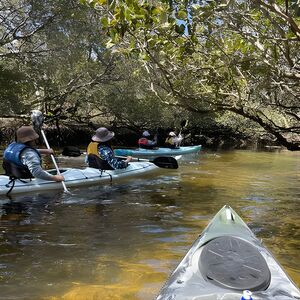 Veranstaltung: Dolphin Sanctuary Kayak Tour Adelaide, Angas Inlet Boat Club in Adelaide