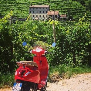 Veranstaltung: Chianti: Tour panoramico in Vespa + biglietti per la degustazione di vini, Day Trips from Siena in Siena