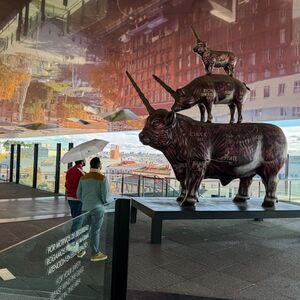 Veranstaltung: Museo Reina Sofía: Entrada sin colas + Visita guiada, Madrid in madrid