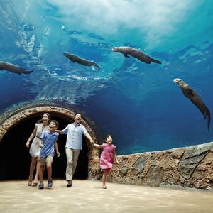 Veranstaltung: Singapore River Safari: Entrance + Roundtrip Transfer, River Wonders in Singapore