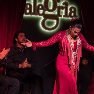 Veranstaltung: Alegría Málaga: Espectáculo Flamenco, Malaga Flamenco Shows in Málaga