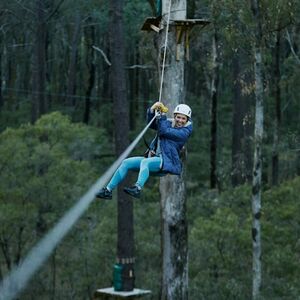 Veranstaltung: Forest Adventures Park Entry, Forest Adventures South West in Busselton