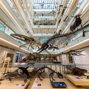 Veranstaltung: MUSE - Museo delle Scienze: Biglietto d'ingresso, MUSE - Museum of Science in Trento