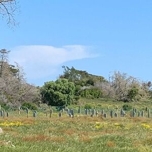 Veranstaltung: Half Day Robben Island Tour, Robben Island Museum in Cape Town