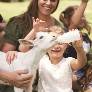 Veranstaltung: Oakvale Wildlife Park: Entry Ticket, Oakvale Wildlife Park in New South Wales