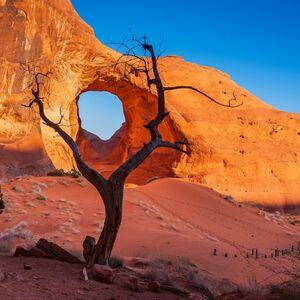 Veranstaltung: 2.5 Hour Scenic & Cultural Tour of Lower Monument Valley, Monument Valley National Park in Kayenta