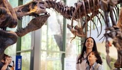 Veranstaltung: Witte Museum: Entry Ticket, Witte Museum in San Antonio