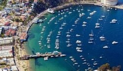 Veranstaltung: Catalina Island: Day Trip + Scenic Driving Tour, Catalina Island Day Trips in Los Angeles
