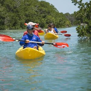 Veranstaltung: Key West: Island Eco Tour from Miami with Kayak and Snorkeling, Key West Day Trips from Miami in Miami