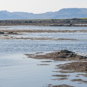 Veranstaltung: Snaefellsnes: Peninsula Tour from Reykjavík, Day Trips from Reykjavik in Reykjavík