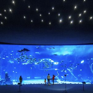 Veranstaltung: Poema del Mar - Acuario Gran Canaria: Entrada sin colas, Poema del Mar - Acuario Gran Canaria in Las Palmas