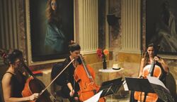 Veranstaltung: Tardes de Música Clásica en el MEAM: concierto y visita al museo, NOU Museum in Barcelona