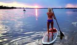 Veranstaltung: Virginia Beach: Sunset Stand-Up Paddleboarding Tour, in Virginia Beach