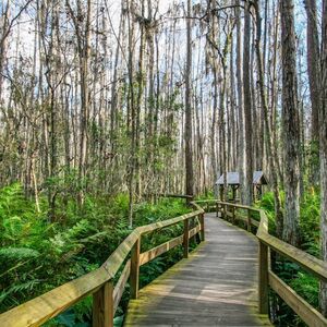 Veranstaltung: Everglades: Self-Guided Driving Tour with Audio Guide, Everglades Safari Park in Miami