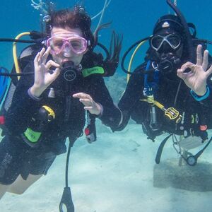 Veranstaltung: Padi Open Water Course 4 days, Blue waters dive cove diving centre in Qala