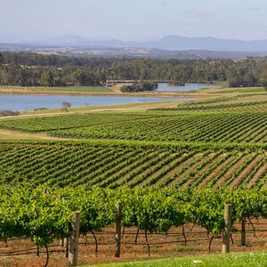 Veranstaltung: Hunter Valley Wine Tour with Lunch and 3 Cellar Door Tastings, The Grace Sydney in Sydney