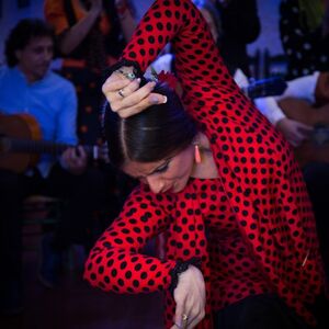 Veranstaltung: Cuevas del Sacromonte Los Tarantos: Espectáculo Flamenco con Bebida y Cena Opcional, Cuevas Los Tarantos in Granada