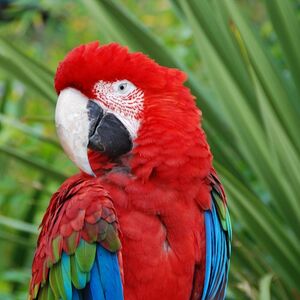 Veranstaltung: Jardim Zoológico de Lisboa: Bilhete de acesso rápido, Lisbon Zoo in Lisbon