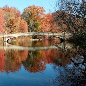 Veranstaltung: New York: Central Park Walking Tour, New York in new york city