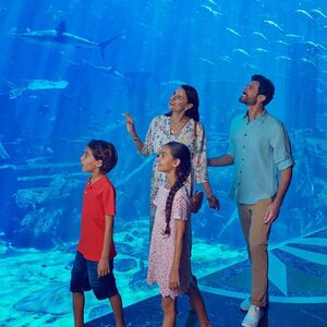 Veranstaltung: Aquaventure: Entry Ticket + Shark Safari or Snorkel, Aquaventure Waterpark in Dubai