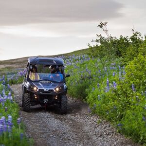 Veranstaltung: Reykjavik: 1-Hr Buggy Safari, Day Trips from Reykjavik in Reykjavík