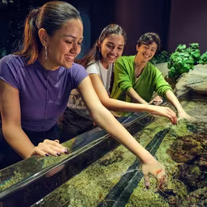Veranstaltung: Singapore Oceanarium: Entry Ticket, Singapore Oceanarium in Singapore
