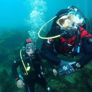 Veranstaltung: Isole Ciclopiche: Esperienza di immersione subacquea, Cyclopean Isles in Aci Castello