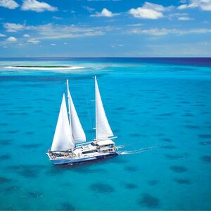 Veranstaltung: Michaelmas Cay Great Barrier Reef Sailing Cruise from Cairns, Michaelmas Cay in Cairns