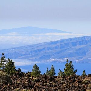 Veranstaltung: Teide National Park: Half-Day Guided Tour + Roundtrip Transfer, Mount Teide National Park in Tenerife