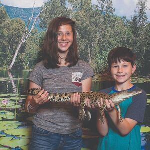 Veranstaltung: Hartley's Crocodile Adventures: Entry Ticket, Hartley's Crocodile Adventures in Wangetti