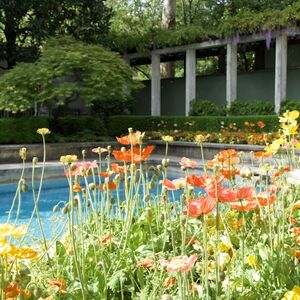 Veranstaltung: Villa Necchi Campiglio: Biglietto d'ingresso, Villa Necchi Campiglio in Milano