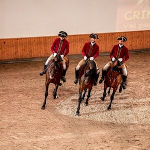 Veranstaltung: Escola Portuguesa de Arte Equestre: Treinamento Matinal, Portuguese School of Equestrian Art in Lisbon