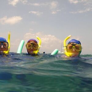 Veranstaltung: Miami South Beach: Snorkeling Adventure for Beginners, Miami Water Activities in Miami