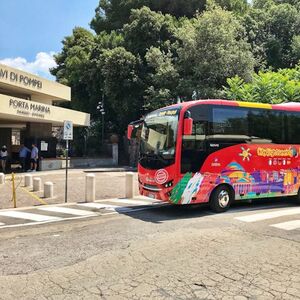 Veranstaltung: Solo trasporto: Viaggio di andata e ritorno in bus navetta da Napoli a Pompei,  in Pompeii