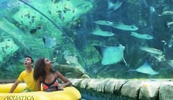 Veranstaltung: Aquatica San Antonio: Fast Track Ticket, Aquatica San Antonio in San Antonio