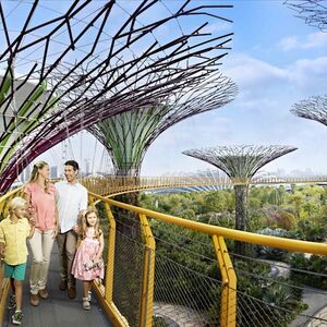 Veranstaltung: Gardens by the Bay: Floral Fantasy with 2 Domes + Hotel Pick-up, Gardens by the Bay in Singapore