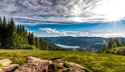 Event: Zurich: Black Forest, Titisee, and Rhine Falls Bus Day Trip, in Neuhausen am Rheinfall