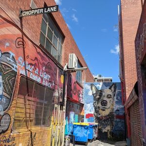 Veranstaltung: Melbourne: Street Art Exploration Game, Hosier Lane in Melbourne