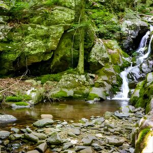 Veranstaltung: Shenandoah National Park Self-Driving Audio Tour, Shenandoah National Park in Charlottesville