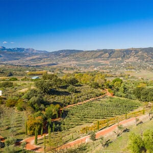 Veranstaltung: Ronda y Degustación de Aceite de Oliva: Excursión de un Día en Grupo Pequeño desde Málaga, Jardines de Alfonso Canales in Malaga