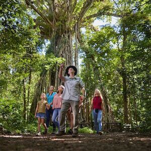 Veranstaltung: Nocturnal Rainforest & Wildlife Tour from Cairns, Cairns Aquarium in Cairns City