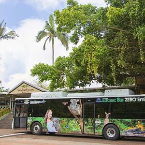 Veranstaltung: Kuranda Rainforestation & Transfer from Cairns, Day Trips from Cairns in Cairns