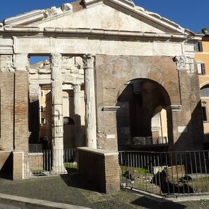 Veranstaltung: Roma: Tour guidato di Trastevere e del Quartiere Ebraico, Day Trips from Rome in Roma