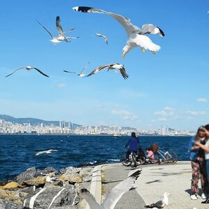 Veranstaltung: Istanbul: Roundtrip Ferry Ticket To / From Princes' Islands, Istanbul in istanbul