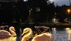 Veranstaltung: Long Beach: Swan Boat Rental at Rainbow Lagoon, Go City: Los Angeles Passes in Los Angeles