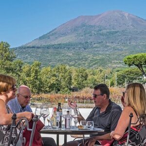 Veranstaltung: Vesuvio: Ingresso senza barriere + Degustazione di vini in un vigneto, Naples Wine Tasting in Naples